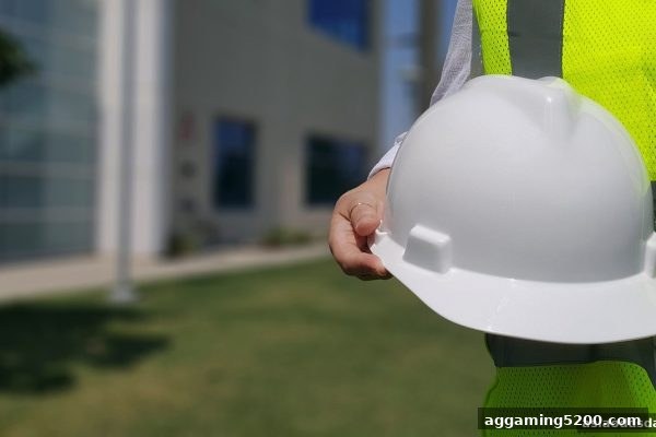 亚盘解析：二十一点安全出款平台的甄选要点与实用指南